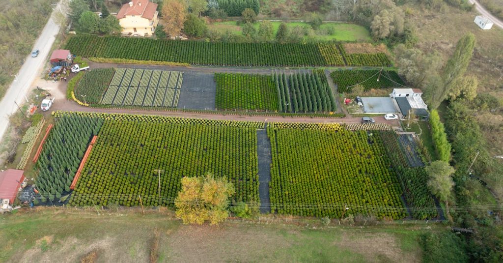 Seasonal Crop Planning Based on Soil Type