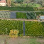 Seasonal Crop Planning Based on Soil Type