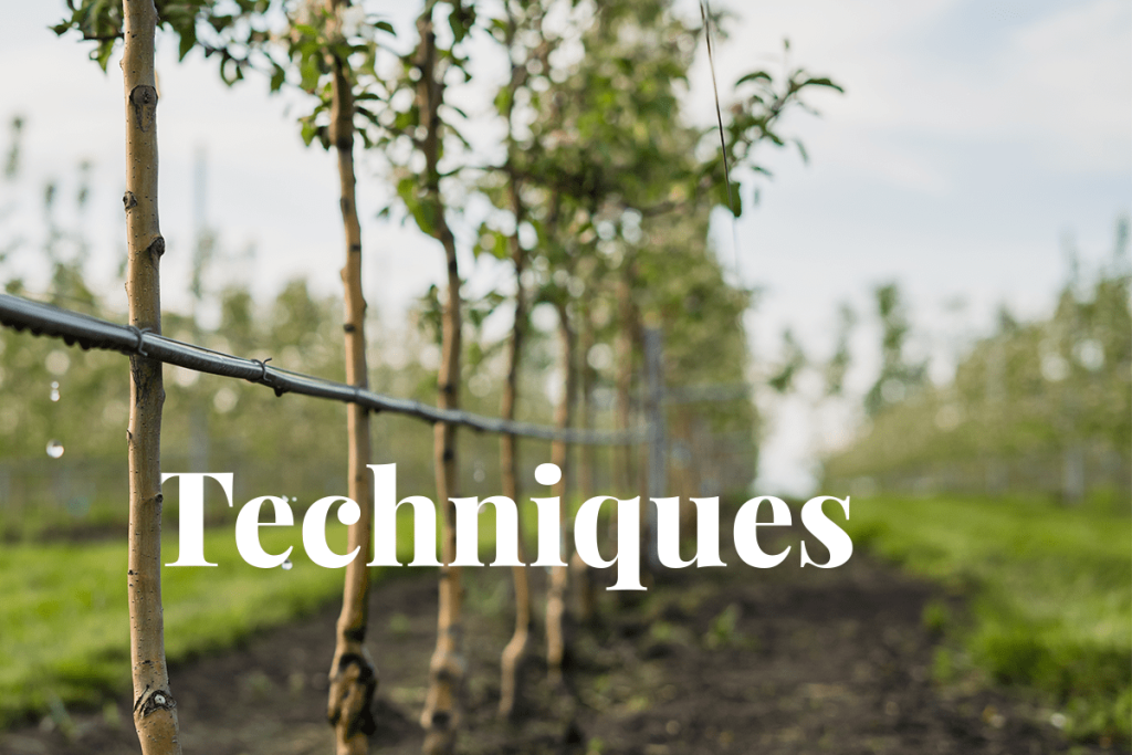 Simple Ways to Conserve Water on Your Farm
