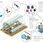 Smart Greenhouses: A Complete Overview