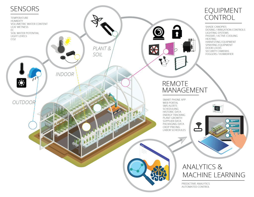 Smart Greenhouses: A Complete Overview