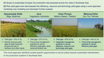 Sustainable Rice Cultivation Techniques for Asia