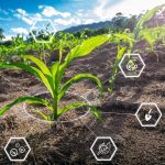 Sustainable Smart Farming: Is It Possible?