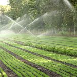 The Future of Irrigation: Automation And Ai