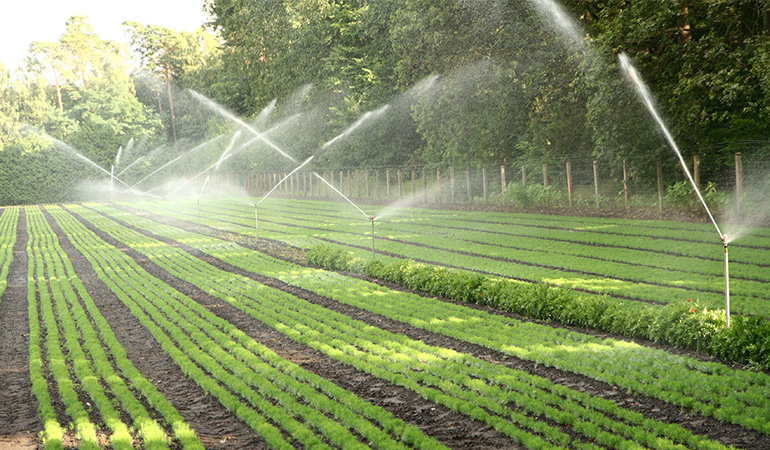 The Future of Irrigation: Automation And Ai