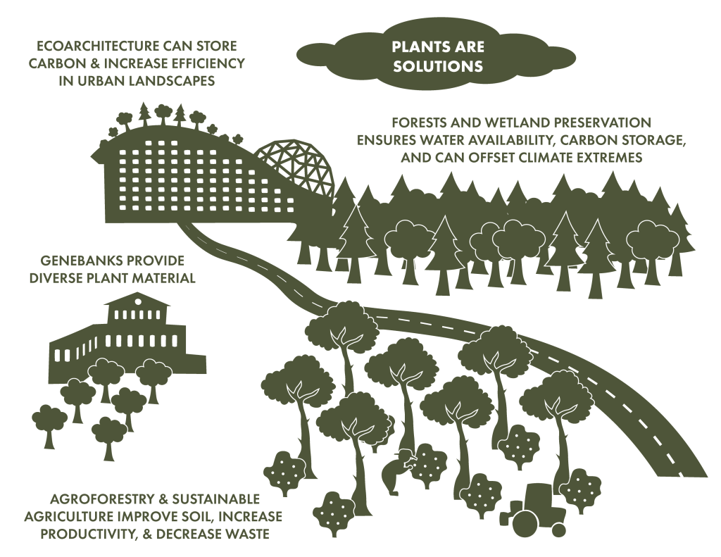 The Role of Agroforestry in Combating Climate Change