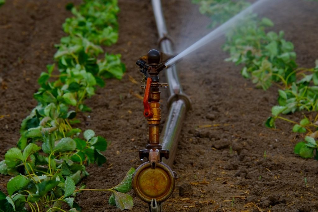 Top 10 Irrigation Tools Every Farmer Should Know
