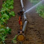 Top 10 Irrigation Tools Every Farmer Should Know