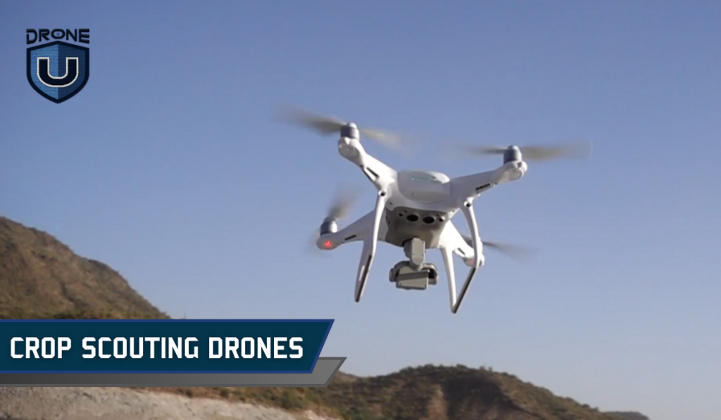 Top 5 Farm Drones for Spraying & Scouting