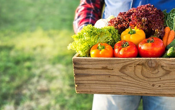 Top Agri Marketplaces & B2B Apps for Selling Produce