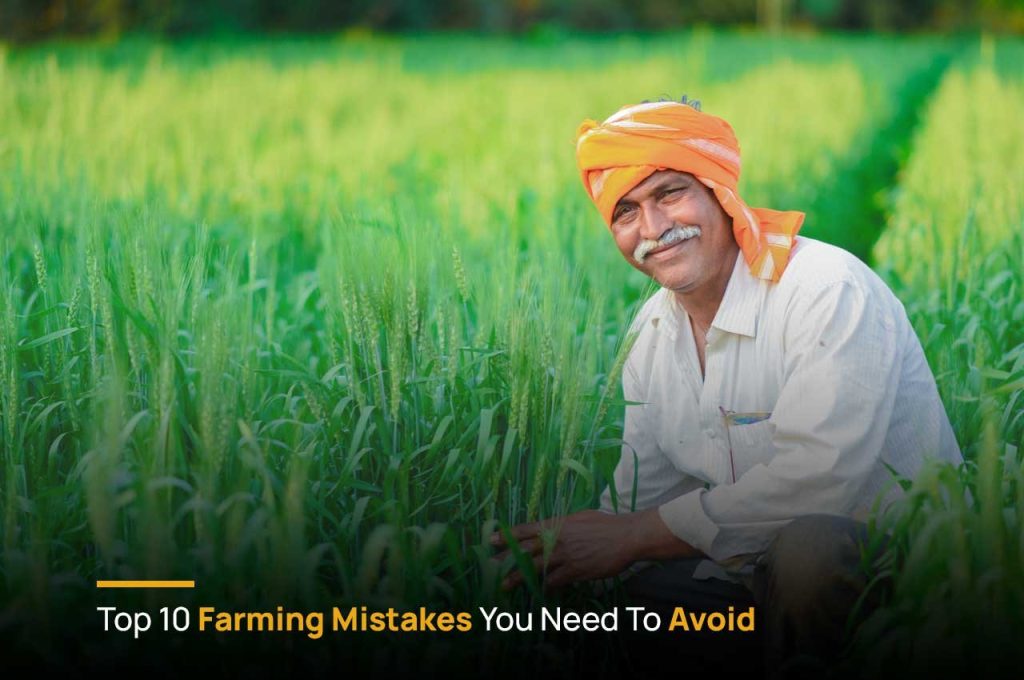 Top Mistakes Farmers Make in Crop Rotation