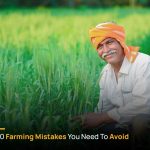 Top Mistakes Farmers Make in Crop Rotation