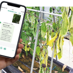Top Mobile Devices And Gadgets for Smart Farming