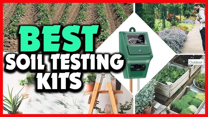 Top Soil Testing Kits Reviewed for 2025