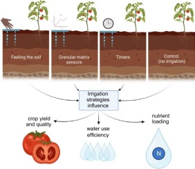Understanding Soil Moisture And Irrigation Timing