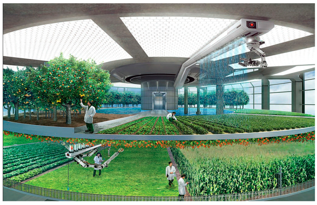 Vertical Farming And Iot: A Smart Combo