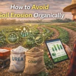 How to Avoid Soil Erosion Organically