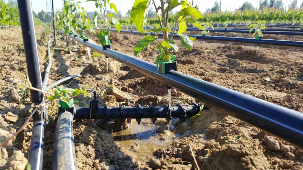 The Ultimate Guide to Efficient Water Management in Agriculture